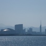 年金特別便がきました