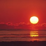 身体を張って欲しい