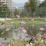 変わらないものに守られる