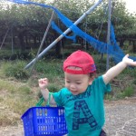 秋は寂しくも楽しい！