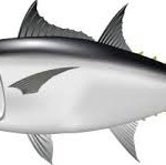 魚は頭から腐る・組織は・・・から腐る