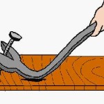 原理原則、そして行動