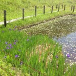 たっぷり遊べる佐賀県！「樫原湿原」「神野公園」