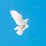 戦争について深く考える時期