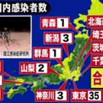 デング熱とかエボラとか。