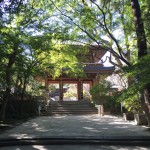 2016年　新年明けましておめでとうございます!!