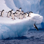 リスクを取った者が手に入れるもの